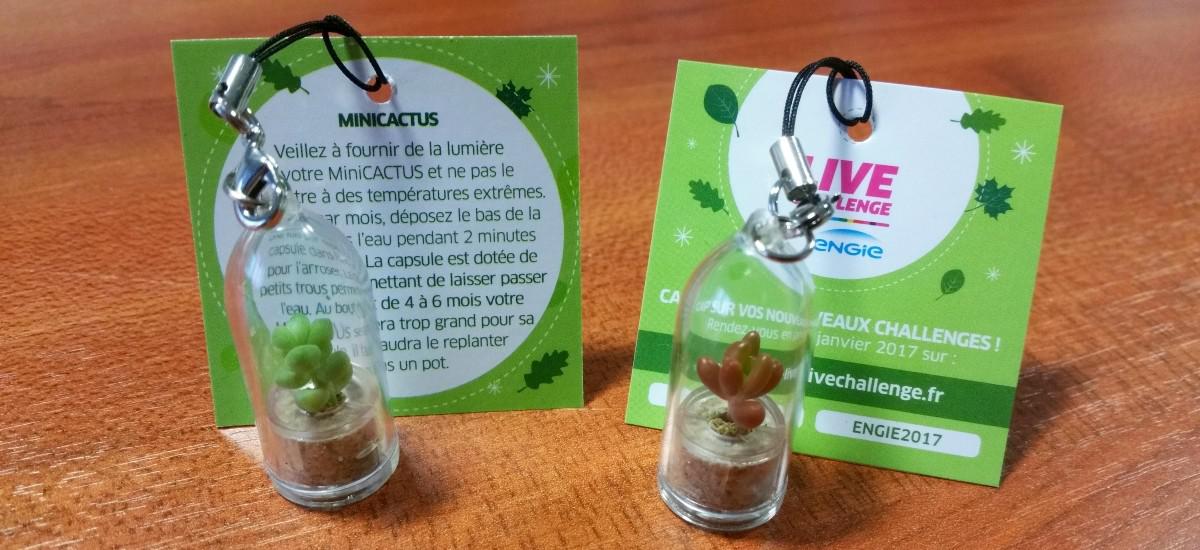 babyplante mini plante cactus avec une personnalisation par cartonette 4 couleurs réalisée pour Engie
