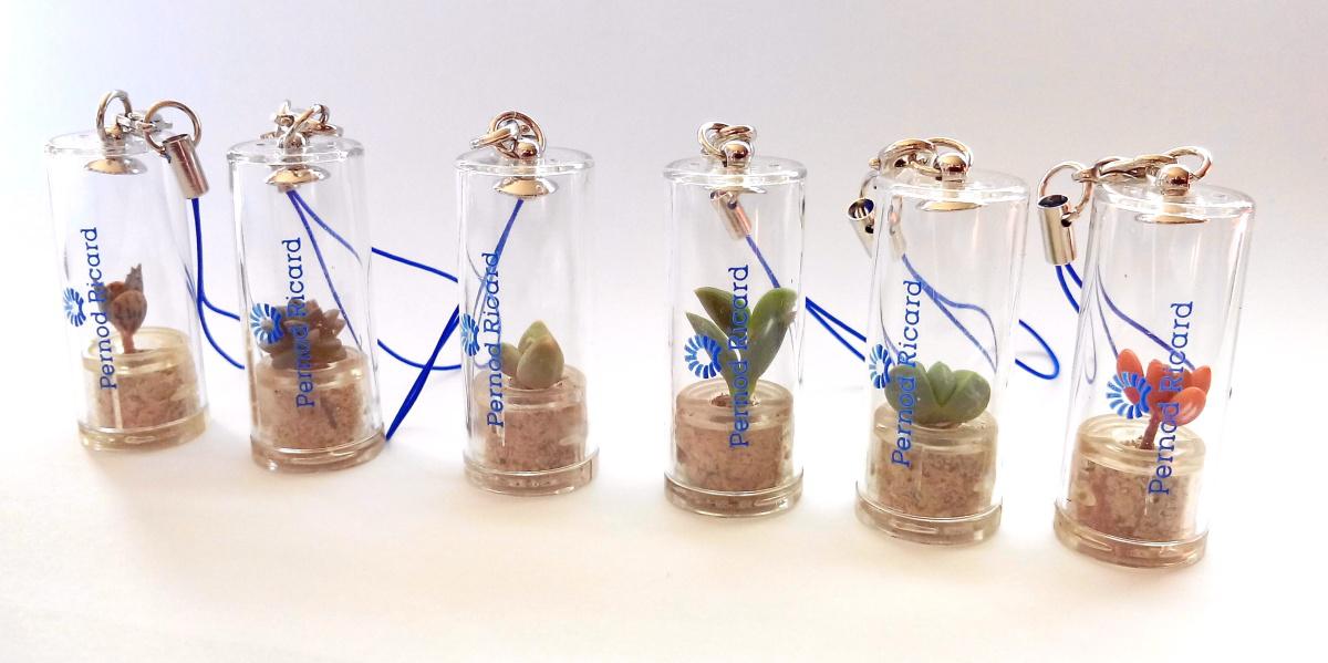 babyplante mini plante cactus avec une tampographie 1 couleur sur la capsule réalisée pour Pernod Ricard