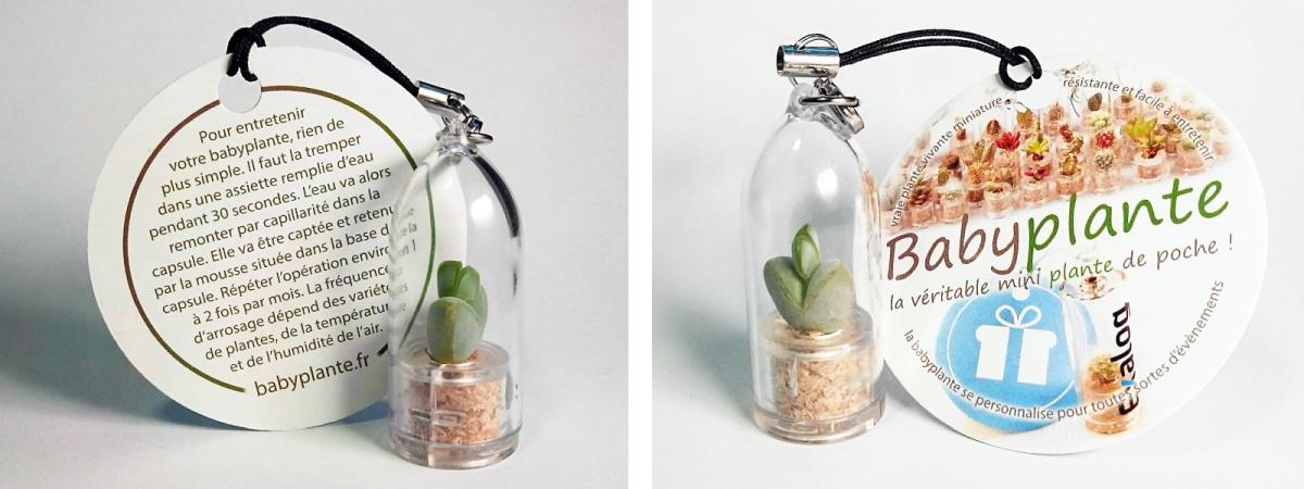 babyplante mini plante grasse petit cactus avec une personnalisation cartonette attachée au cordon
